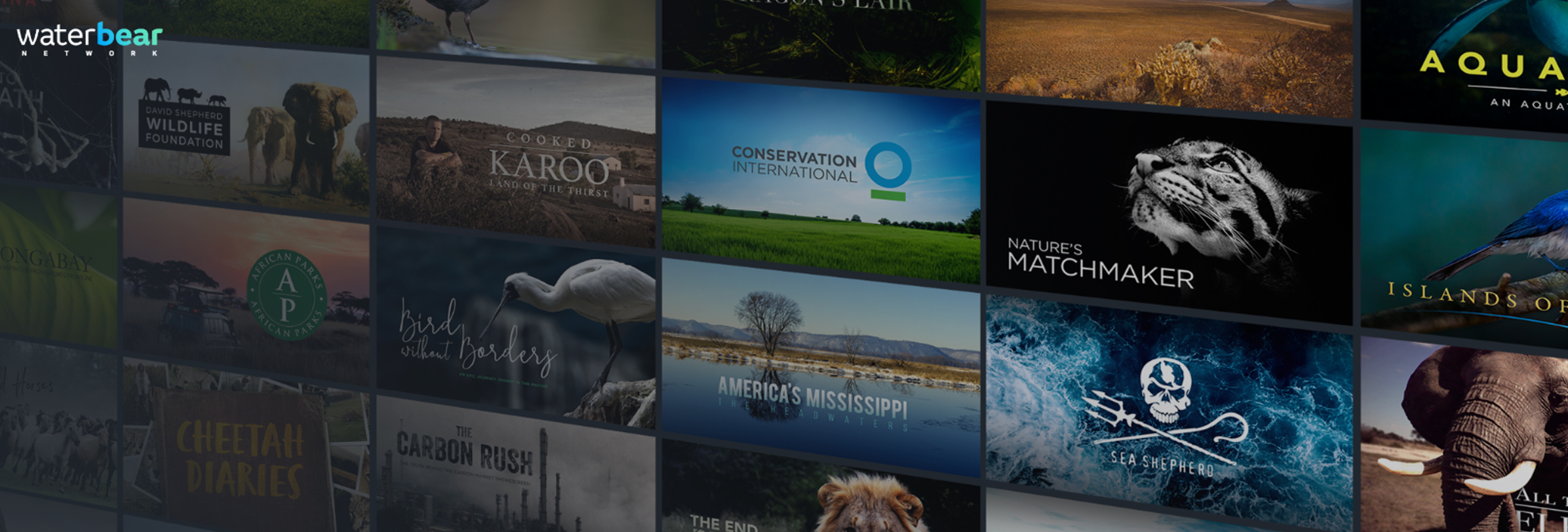 WaterBear Network - the first interactive video-on-demand platform dedicated to our planet
